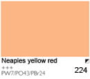 224 Naples Yellow Red